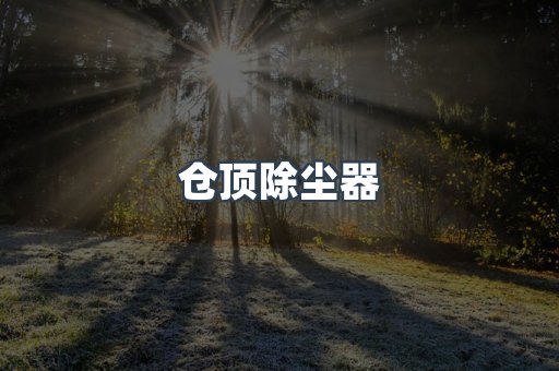 仓顶除尘器