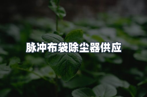 脉冲布袋除尘器